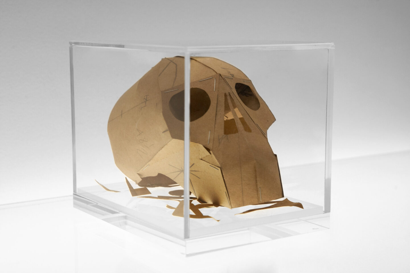 Dead Man’s Patterns Memento Mori Skull