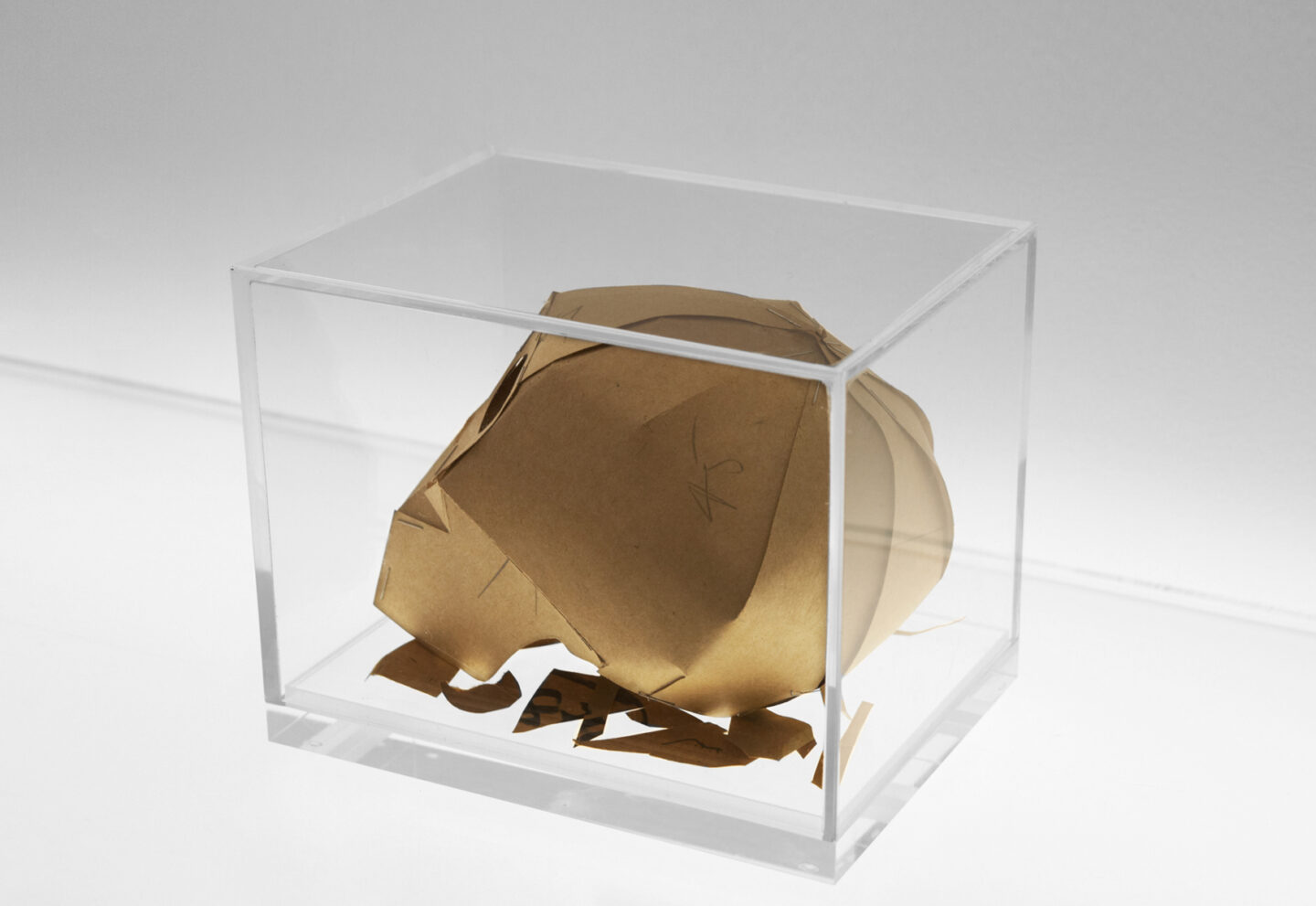 Dead Man’s Patterns Memento Mori Skull